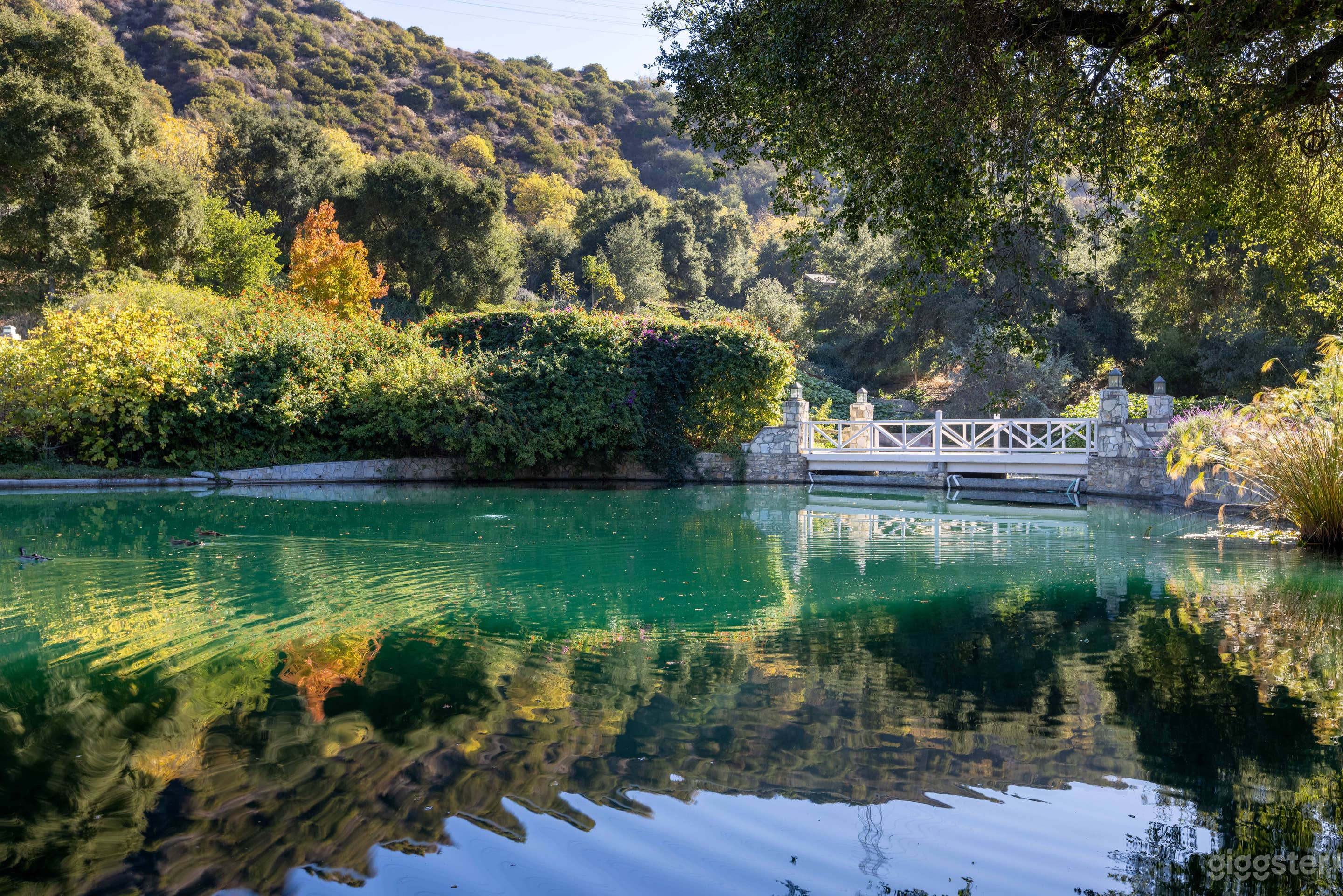 The Amber Estate Photo 2