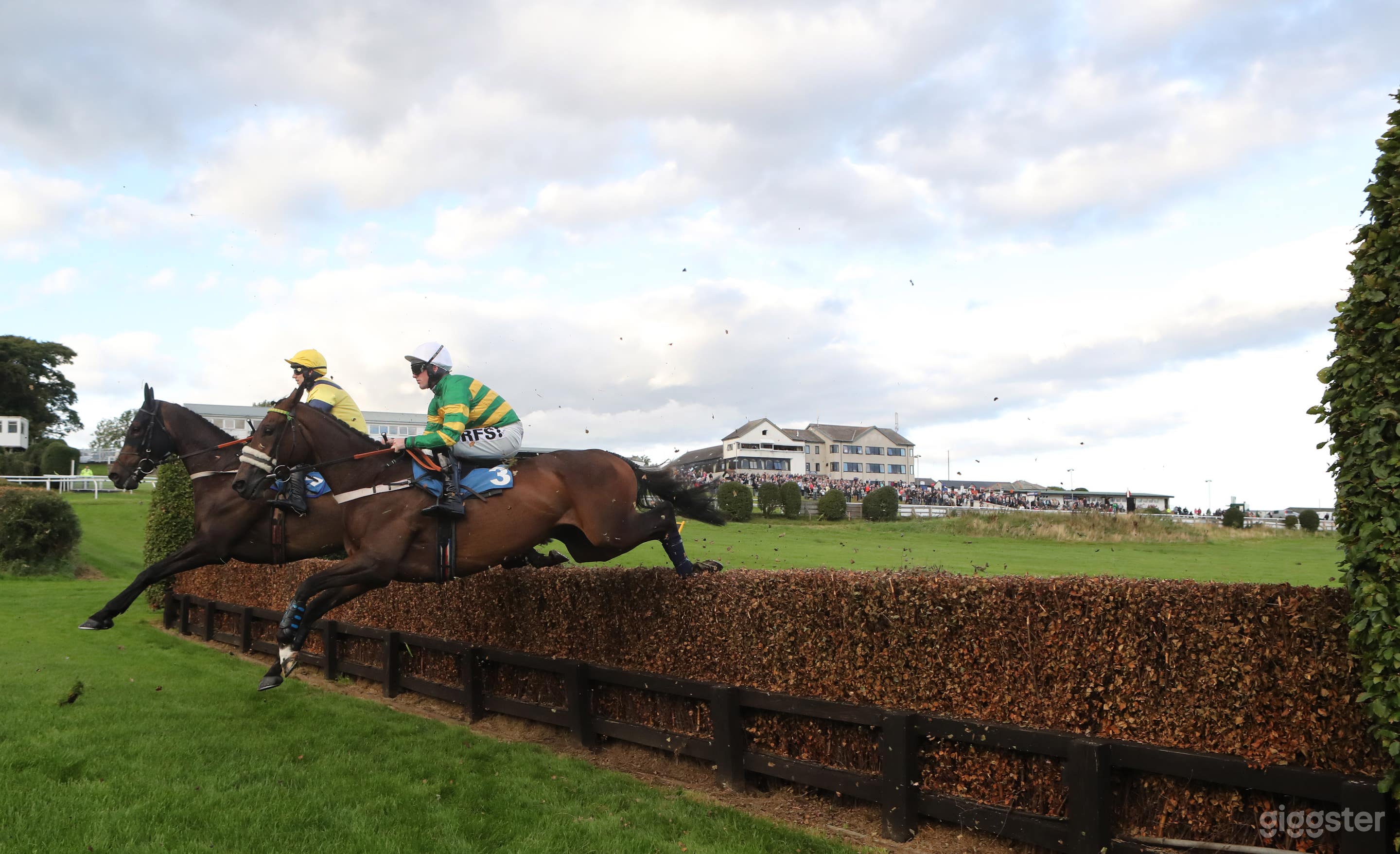 Unique Racecourse in Hexham Photo 3