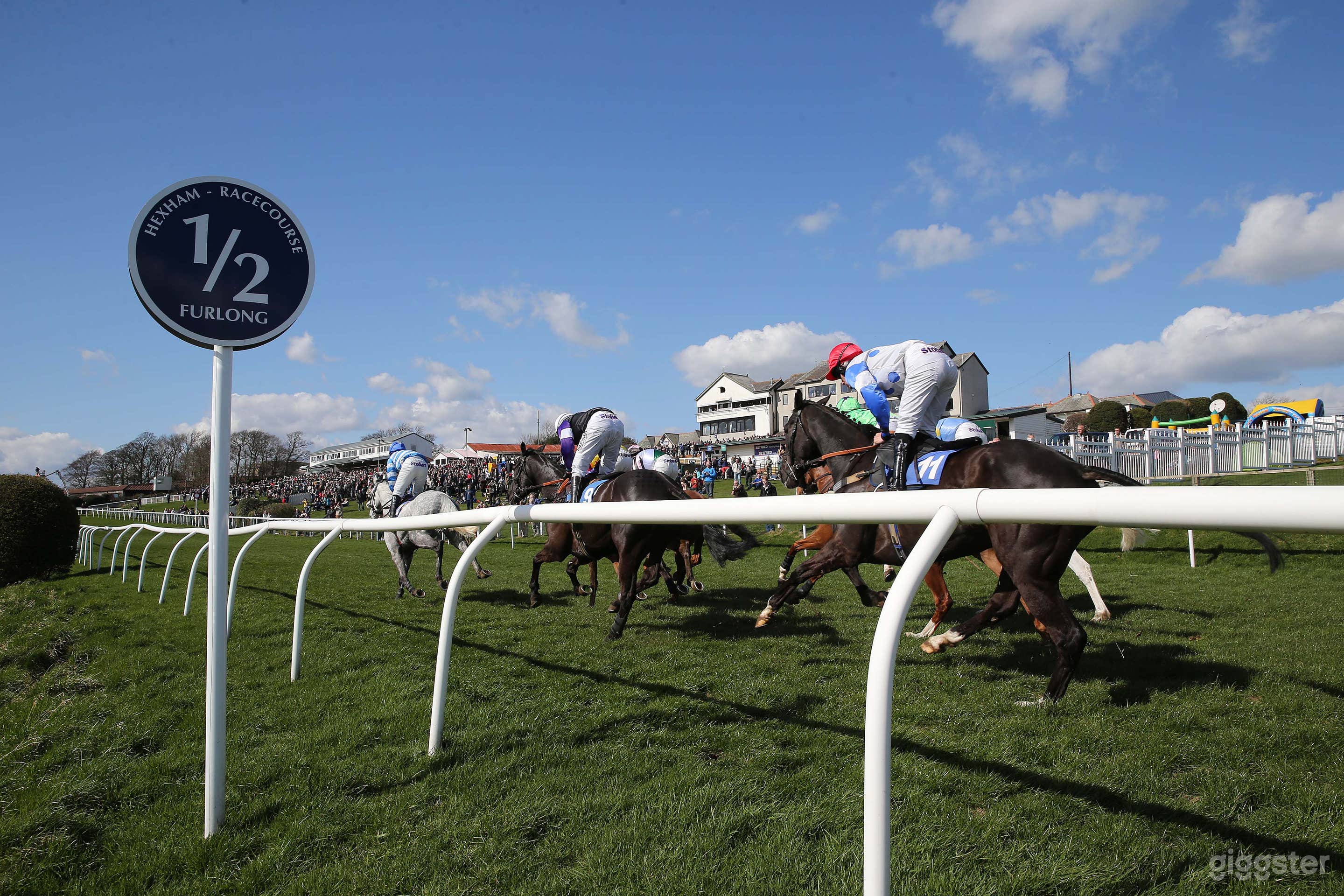 Unique Racecourse in Hexham Photo 1
