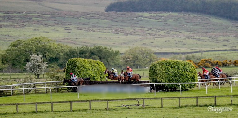  Unique Racecourse in Hexham 