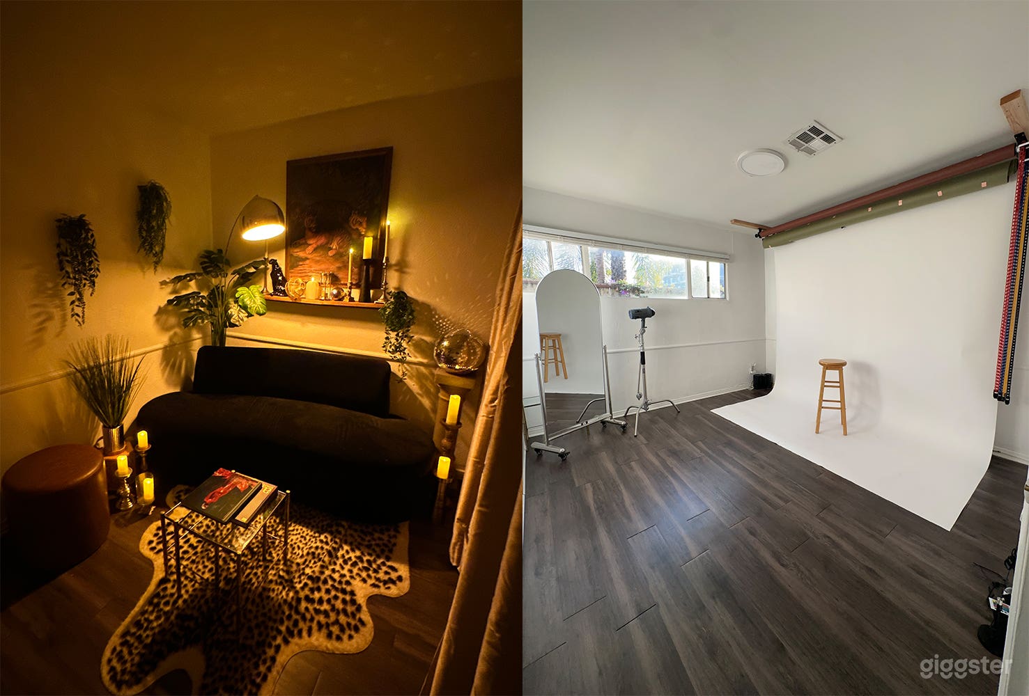 Cozy Hollywood Regency Jungle Set + Photo Studio Photo 1