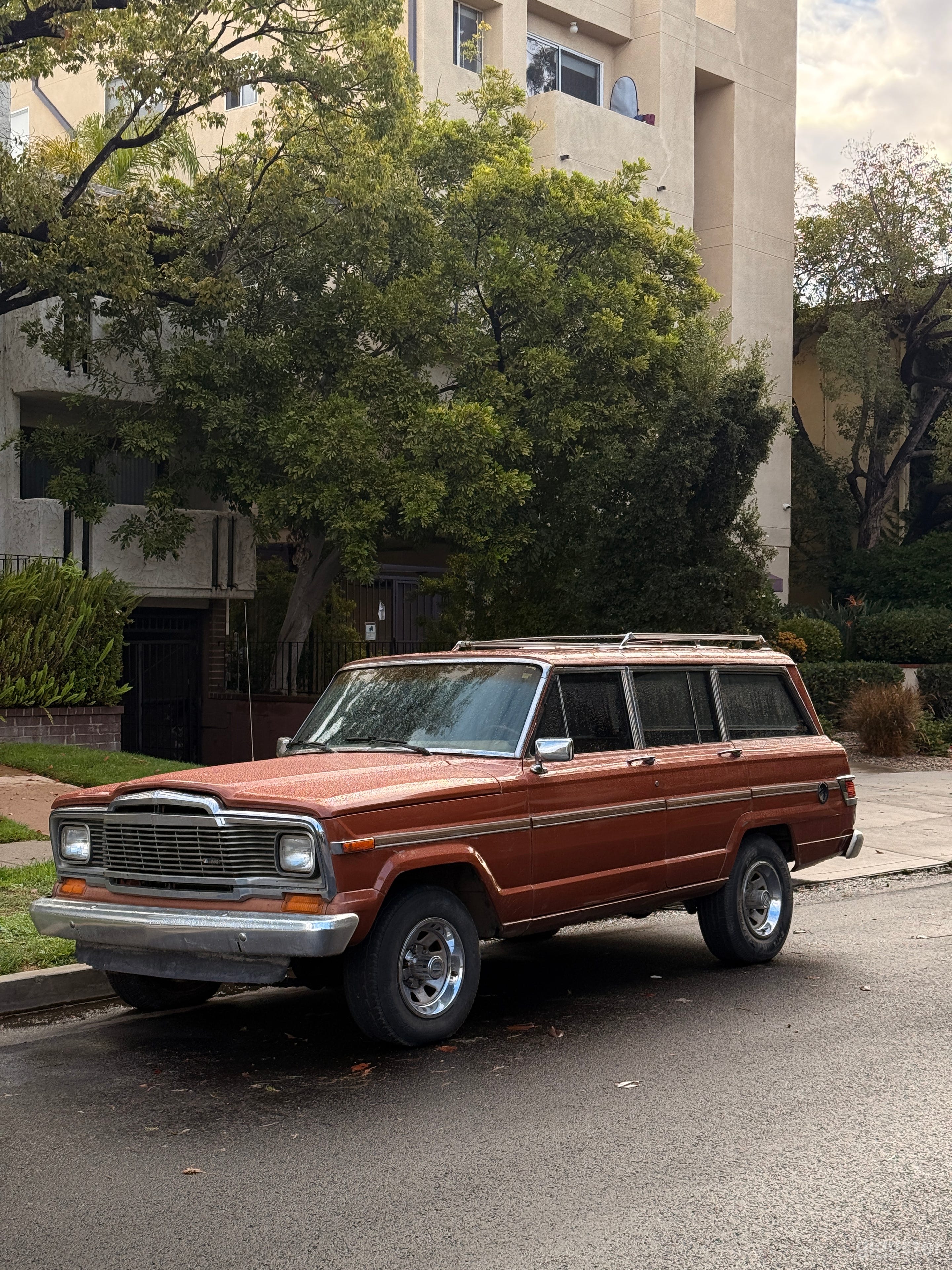 1982 JEEP WAGONEER (Photo/Film) Vintage Family Truck Photo 3