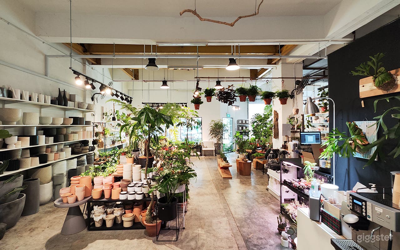 A Modern Plant Retail Photo 4