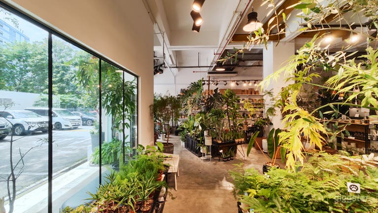  A Modern Plant Retail 