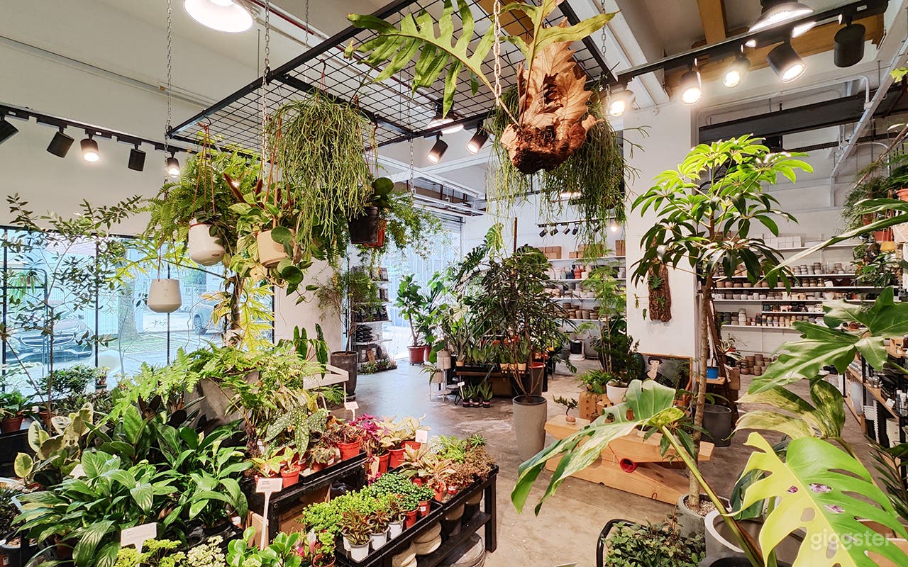 A Modern Plant Retail Photo 3