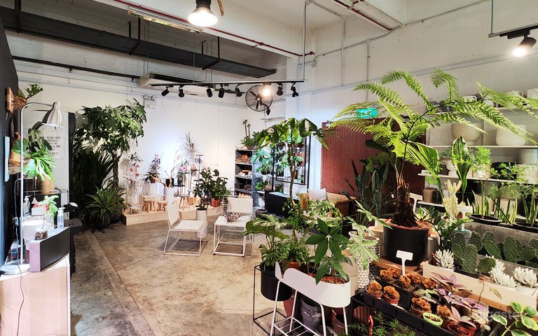  A Modern Plant Retail 