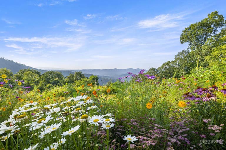  Peaceful Outdoor Retreat with Stunning Asheville Views 