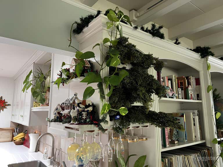  Sunset Cliffs Tropical Casa 