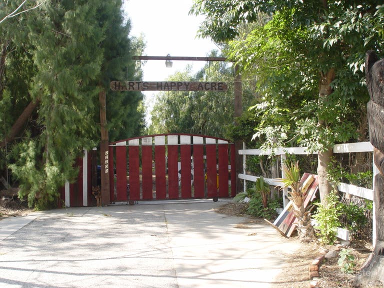  1913 Mini Ranch With Miniature Horses, Guest House 