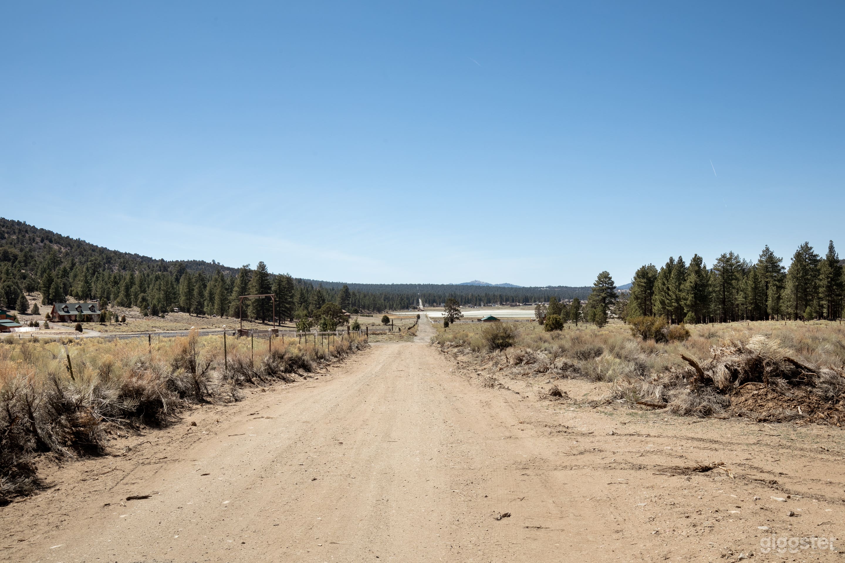 Mountain Woods  Photo 4