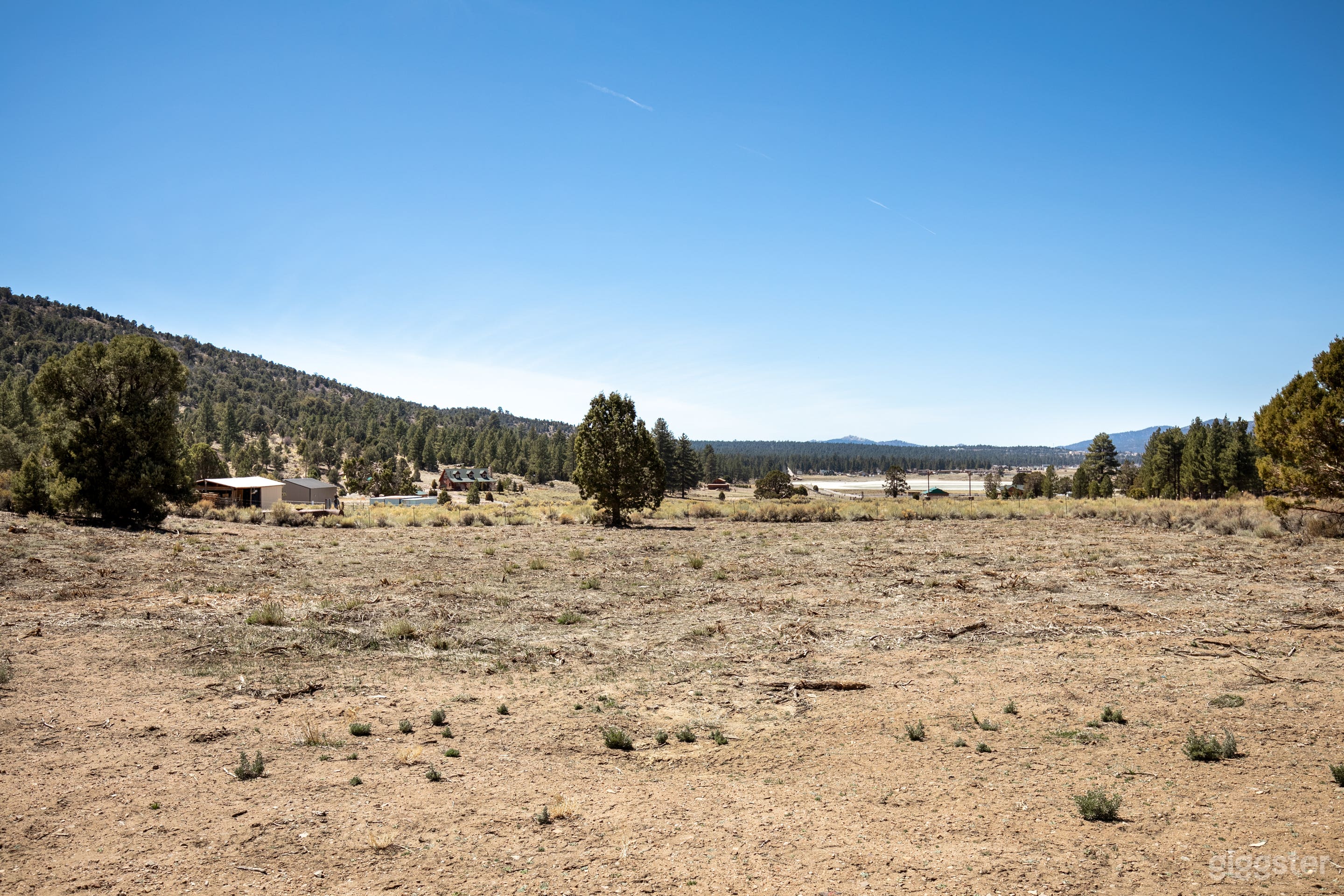 Mountain Woods  Photo 2