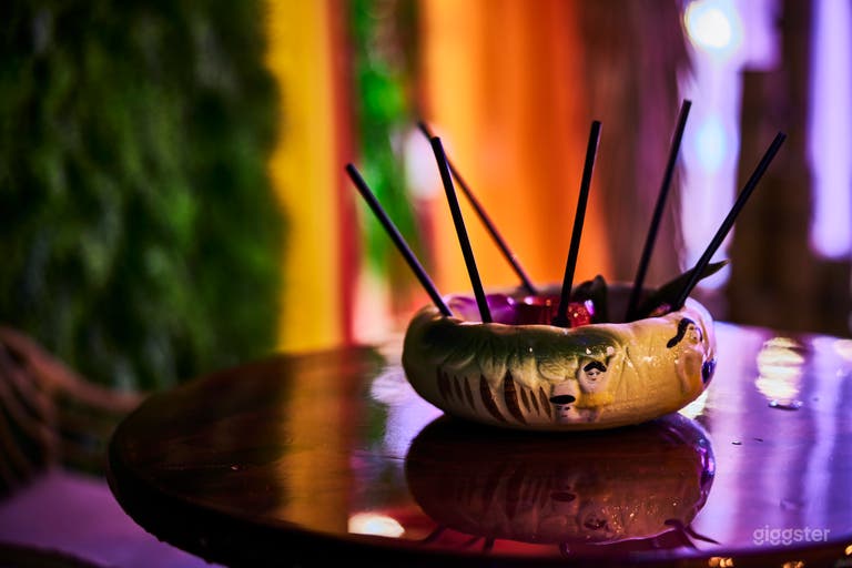  Speakeasy Style, TIki, Hawaiian Island Themed Bar 