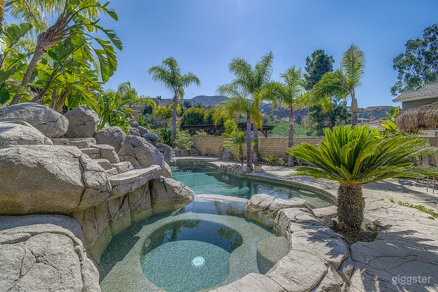 Luxury Tropical Backyard with Waterfall Pool & Palm Tree Photo 3