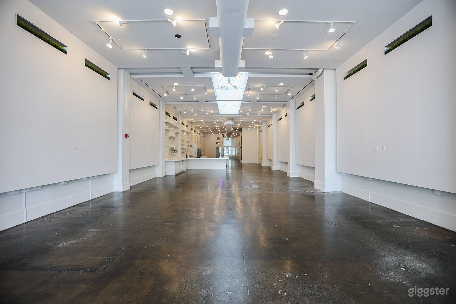 Premier Pop Up and Event Space 5000 Sq ft  Photo 3