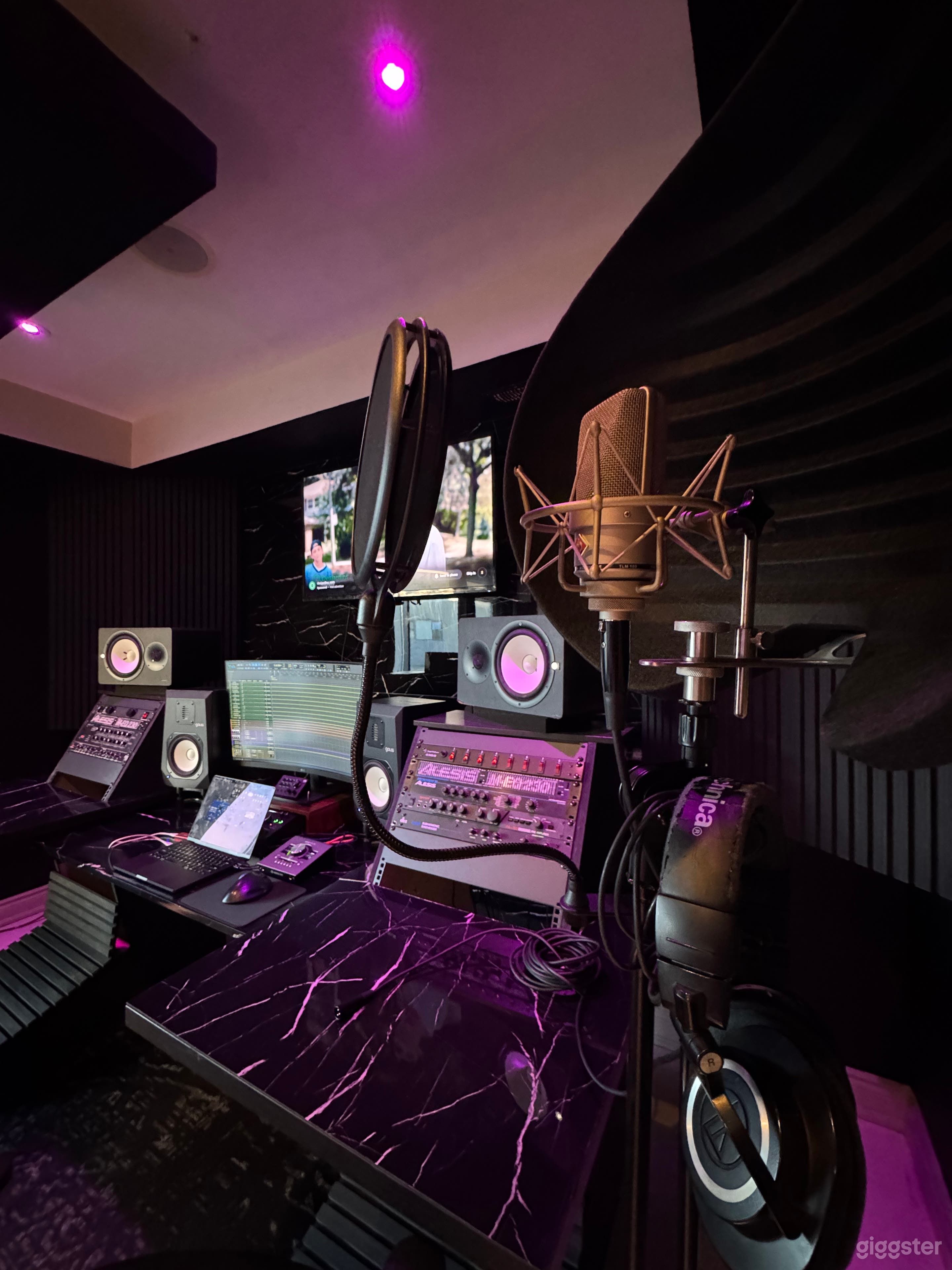 Neumann TLM Microphone