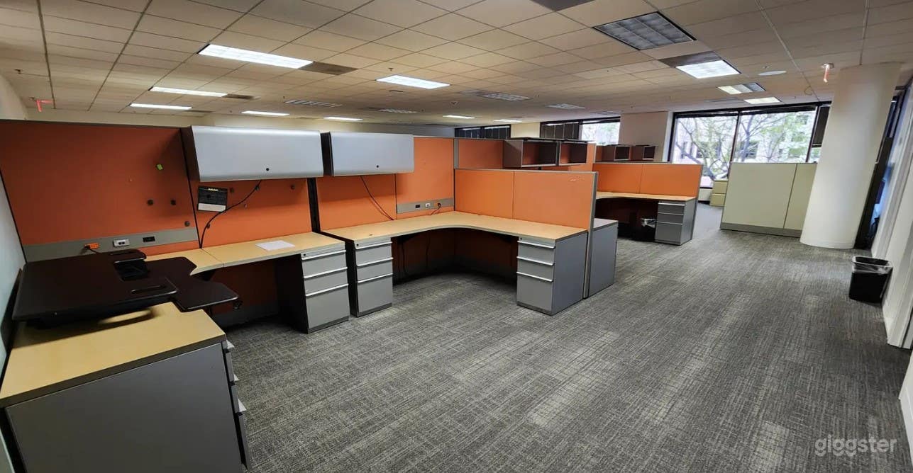 Bright Shared Office Space for Filming Photo 1