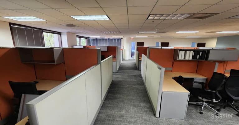  Bright Shared Office Space for Filming 