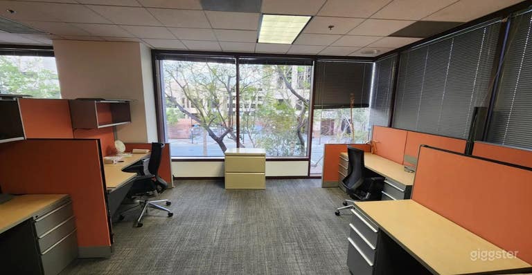  Bright Shared Office Space for Filming 