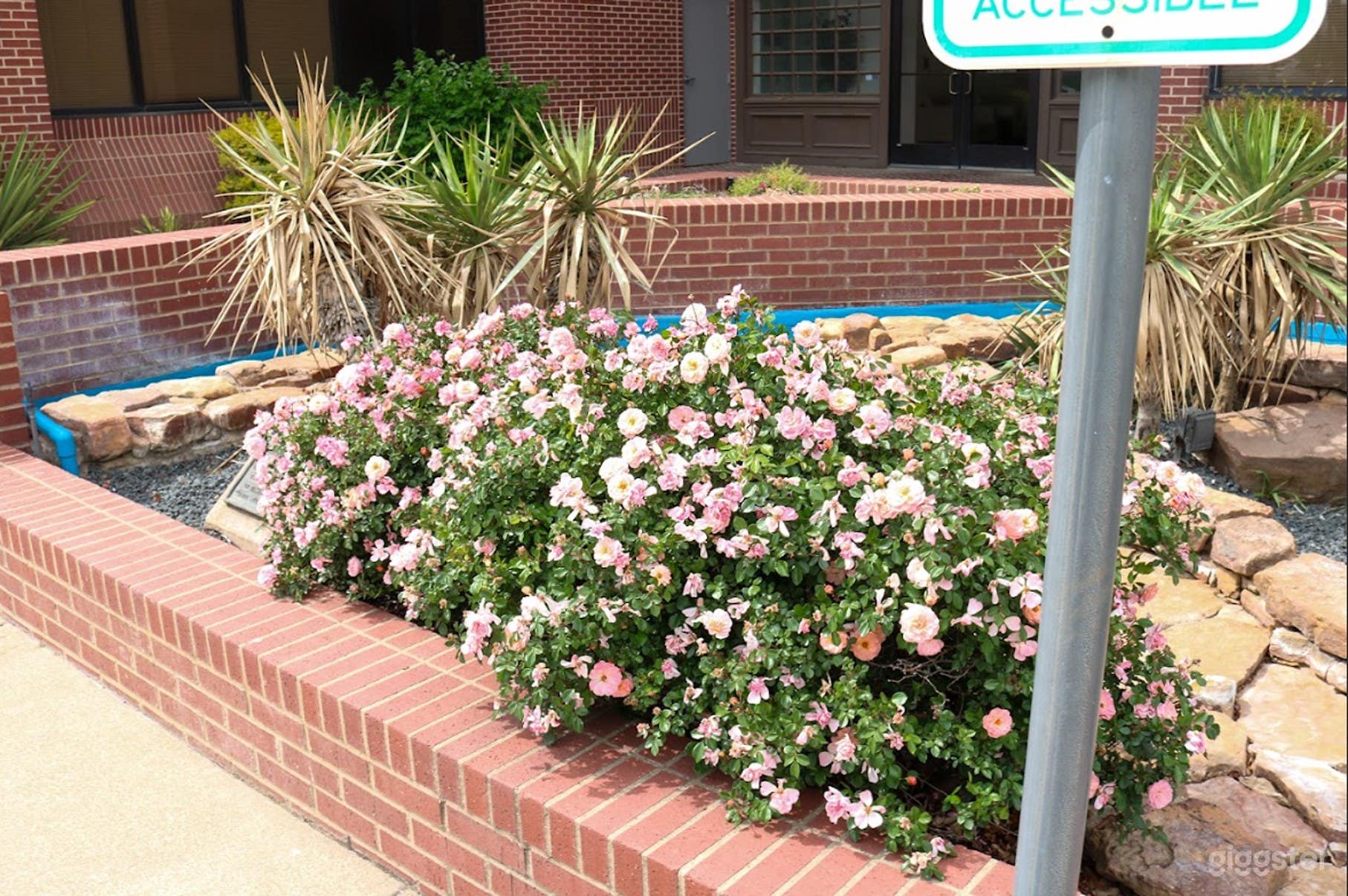 Scenic Outdoor Space for Film &amp; Photoshoot Photo 2