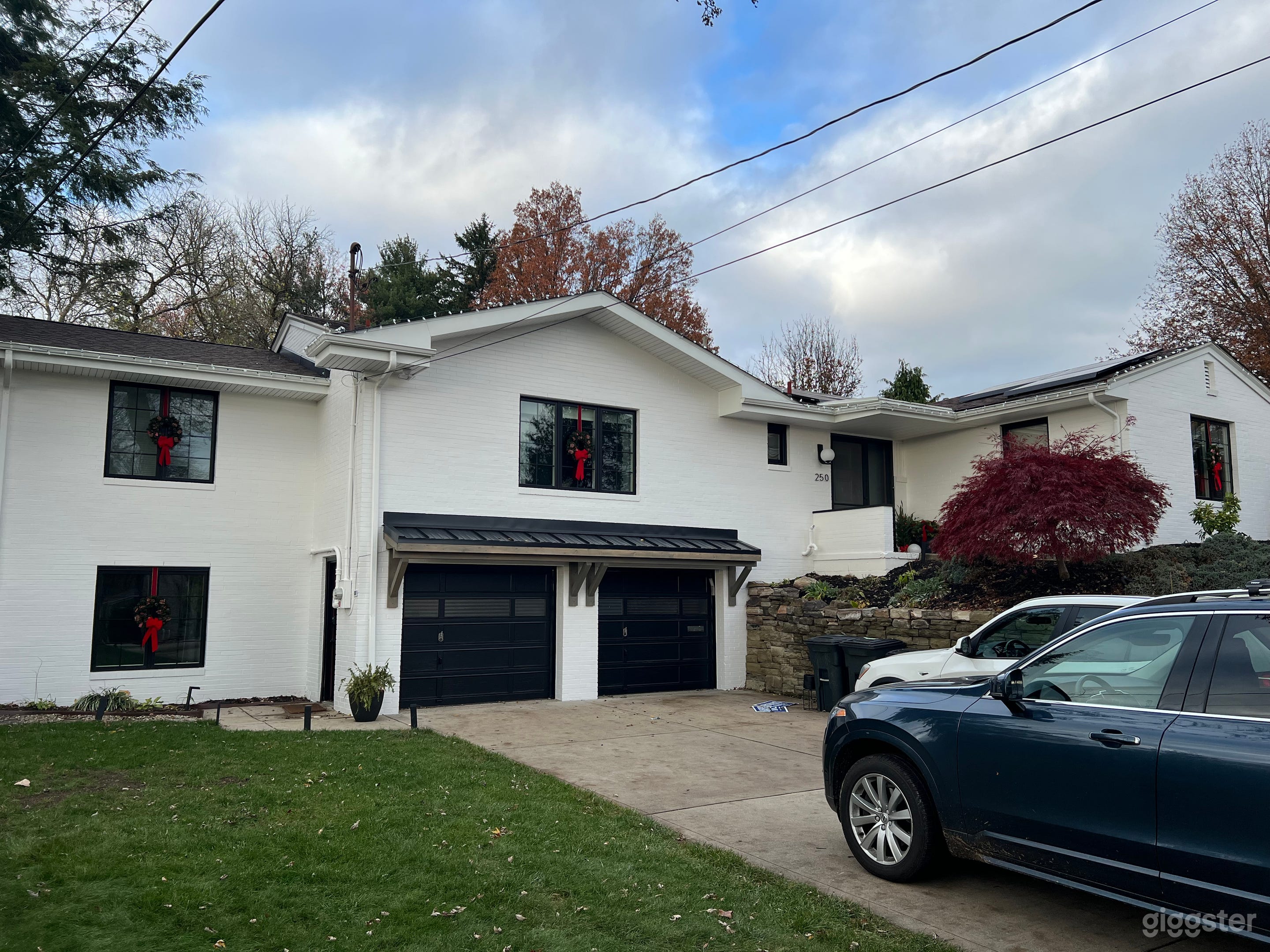 Mid Century Renovation Photo 2