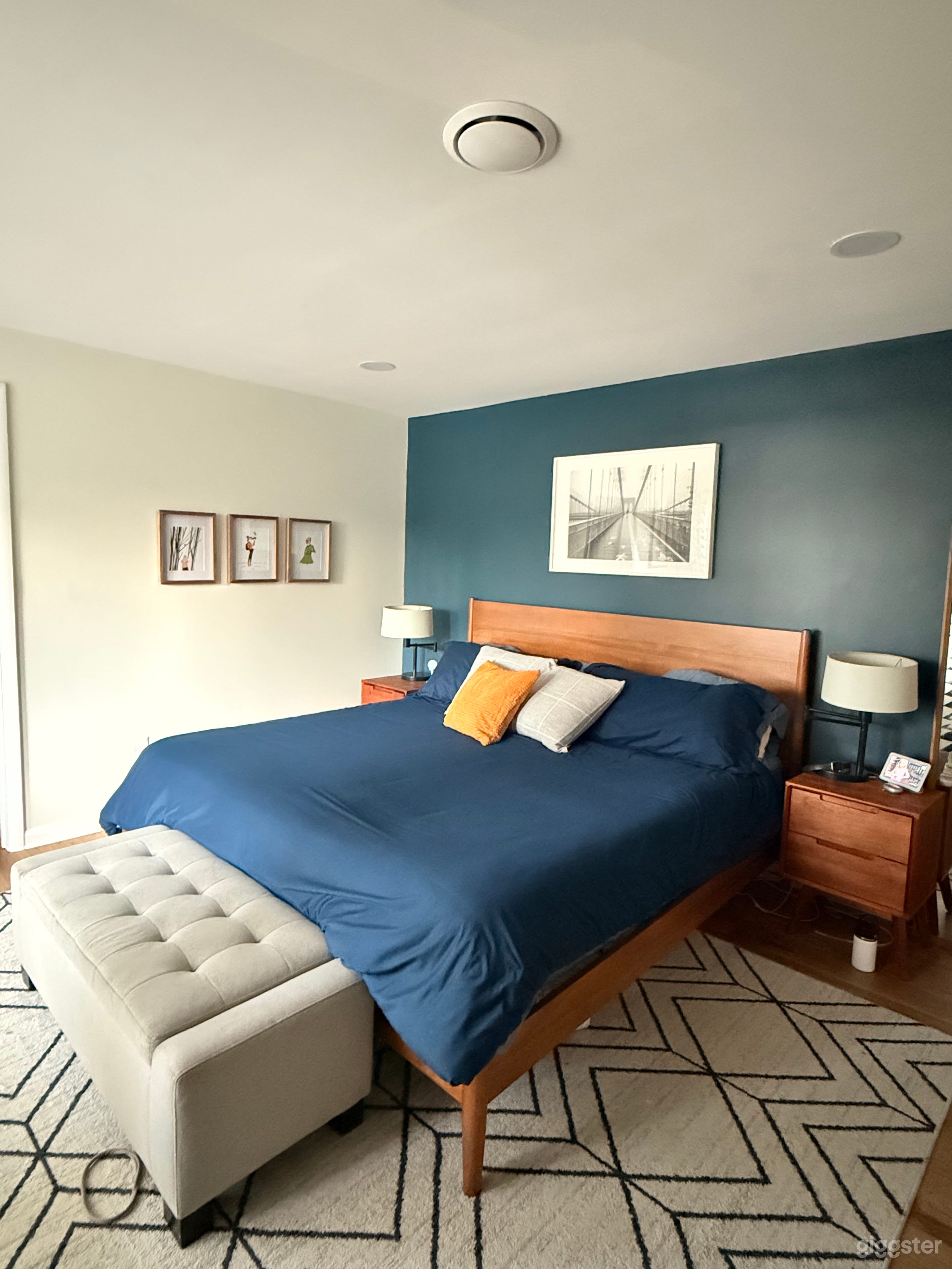 Mid Century Renovation Photo 4