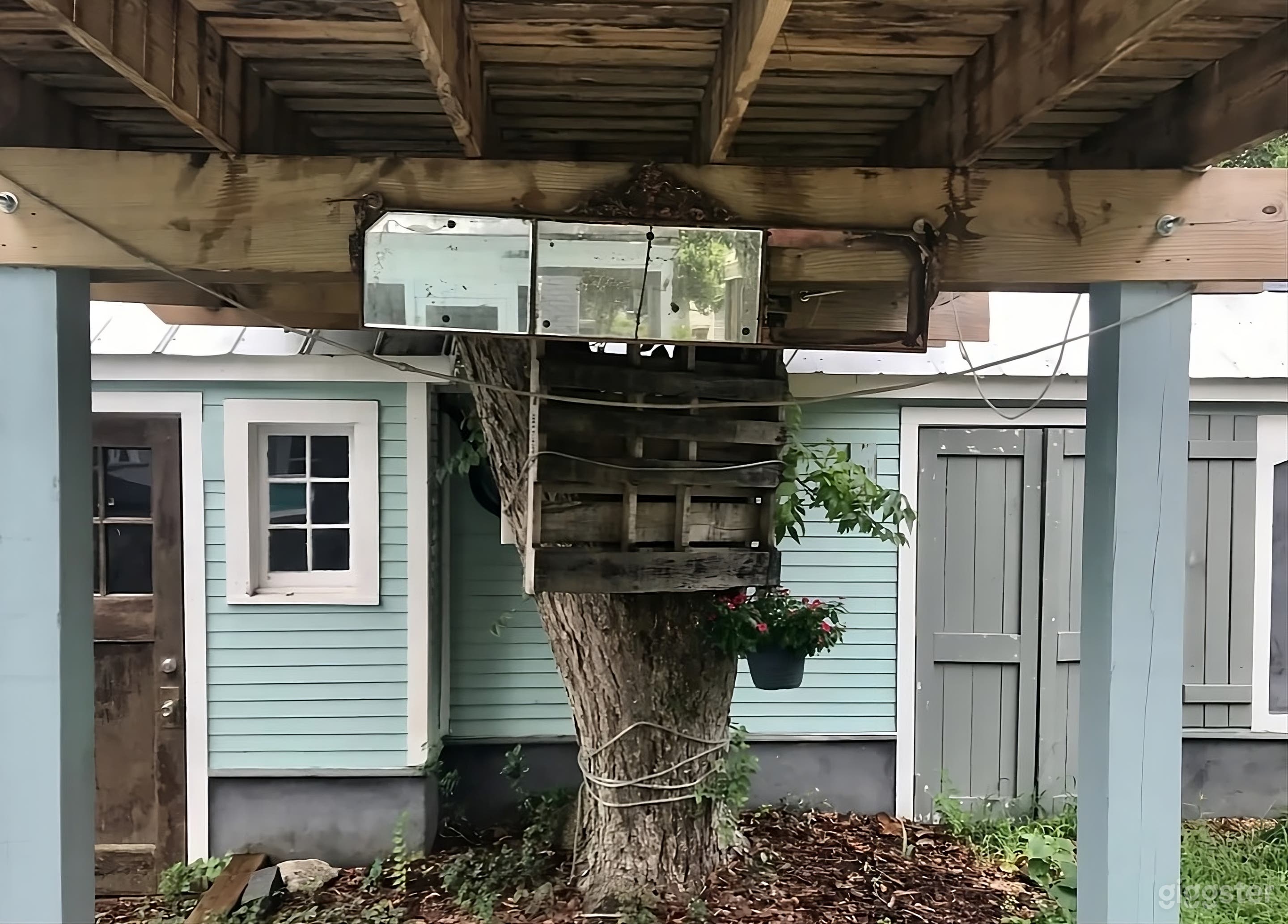 Treehouse Oasis Backyard Photo 3