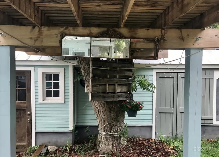 Treehouse Oasis Backyard 