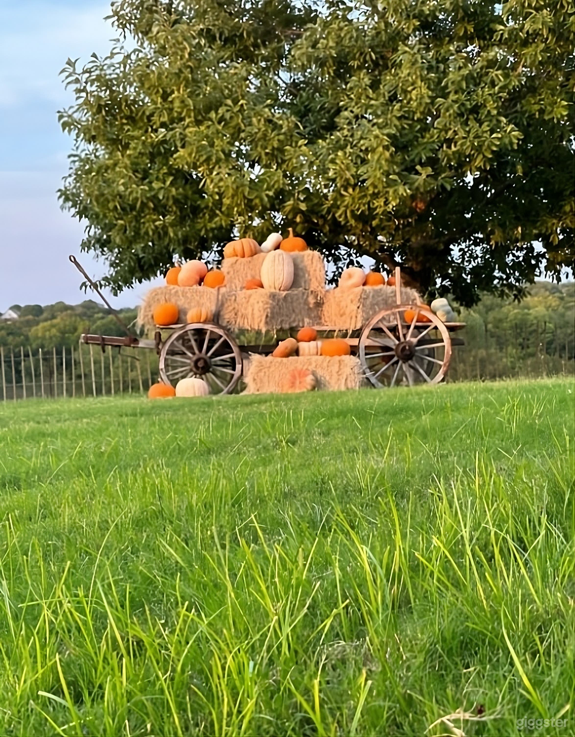 Private Estate Backyard with Pool and Wildlife Photo 4