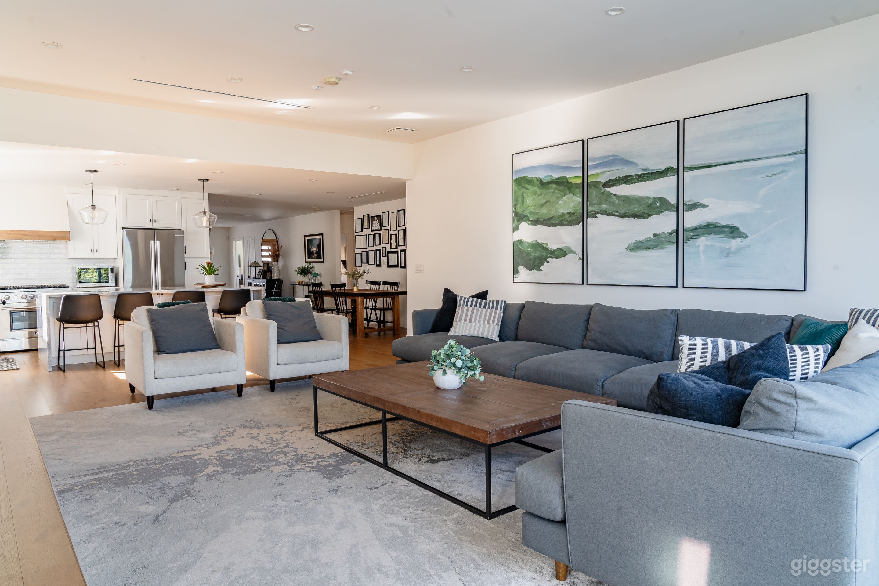 Saloma Sunlit Open-Concept Modern Photo 1