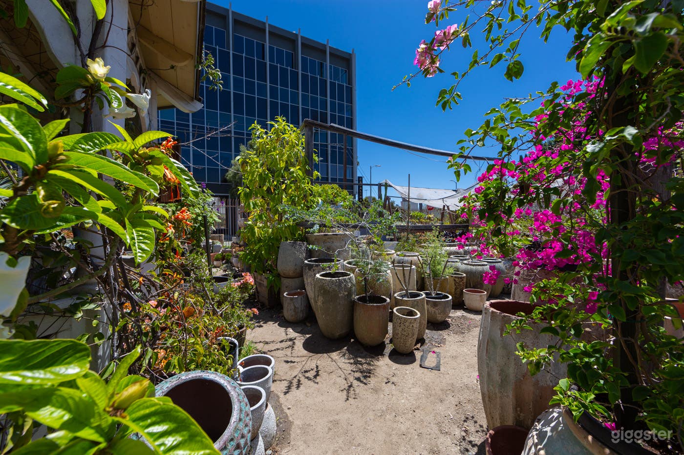 Hollywood Plant Nursery #147 | LA Garden Photo 3