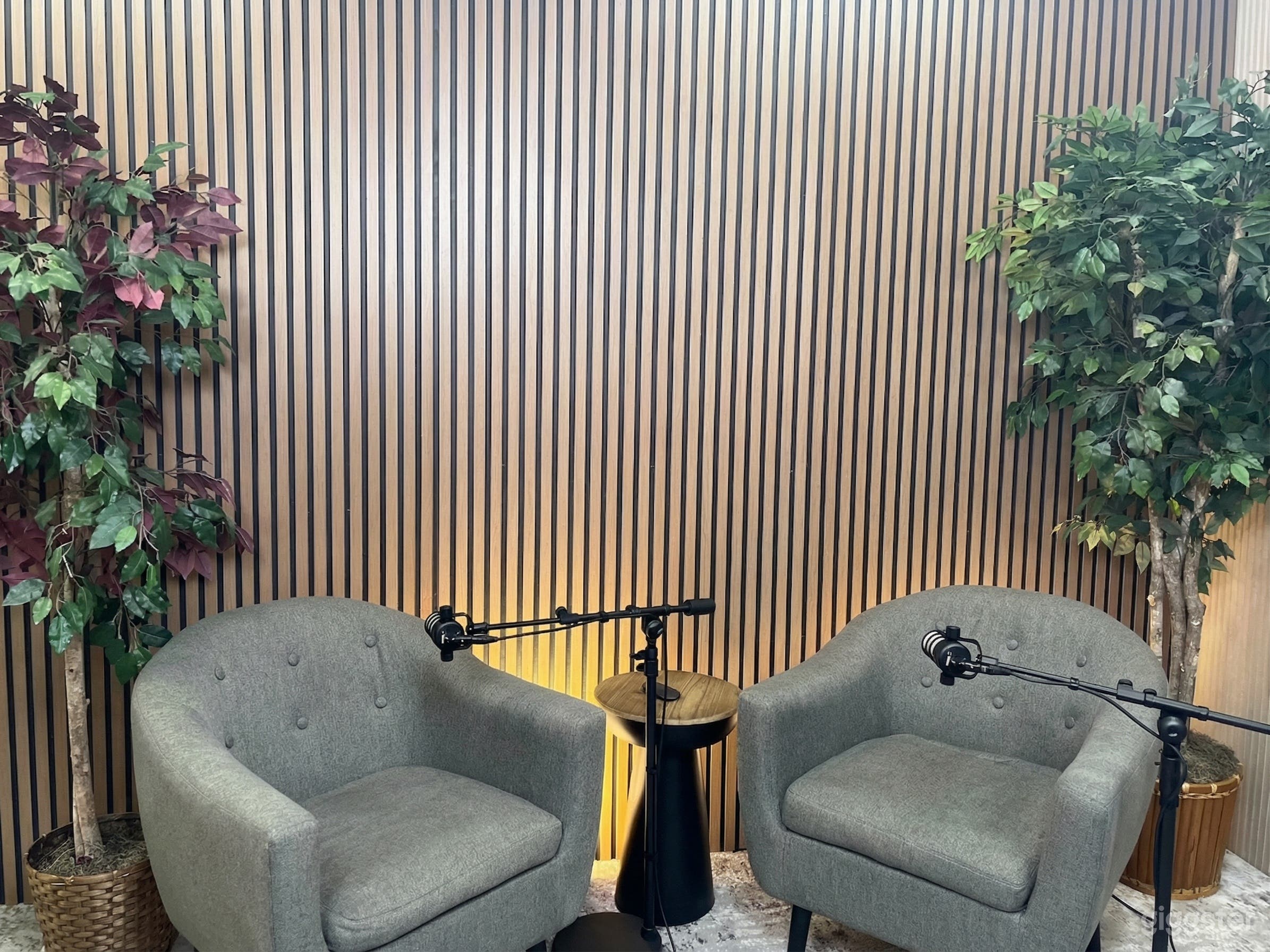 Houston Video Podcast Studio - 3 Video Cameras Photo 1