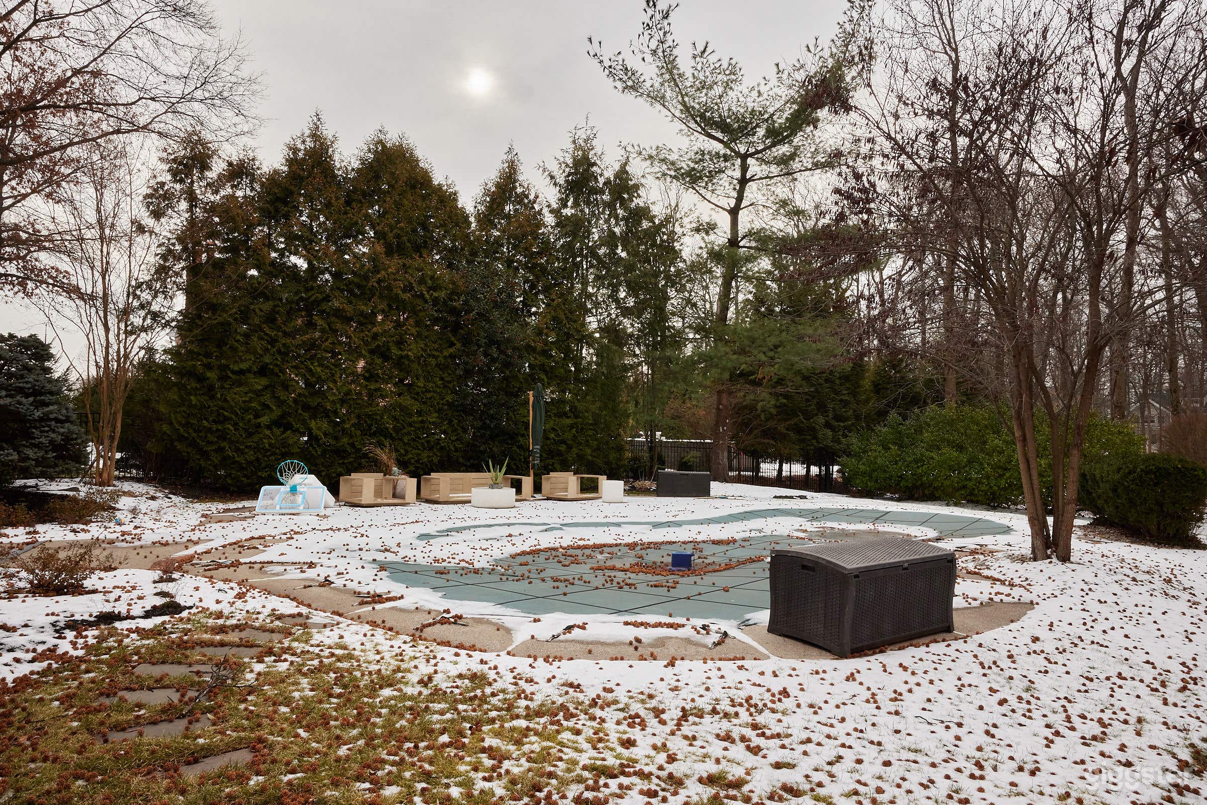 Classic Colonial Oasis with Resort Style Pool Photo 3