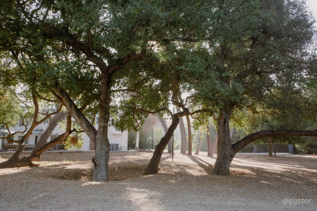 Hidden Gem: Stunning Ranch in the Heart of LA Photo 1