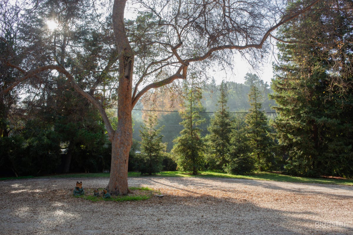 Hidden Gem: Stunning Ranch in the Heart of LA Photo 4