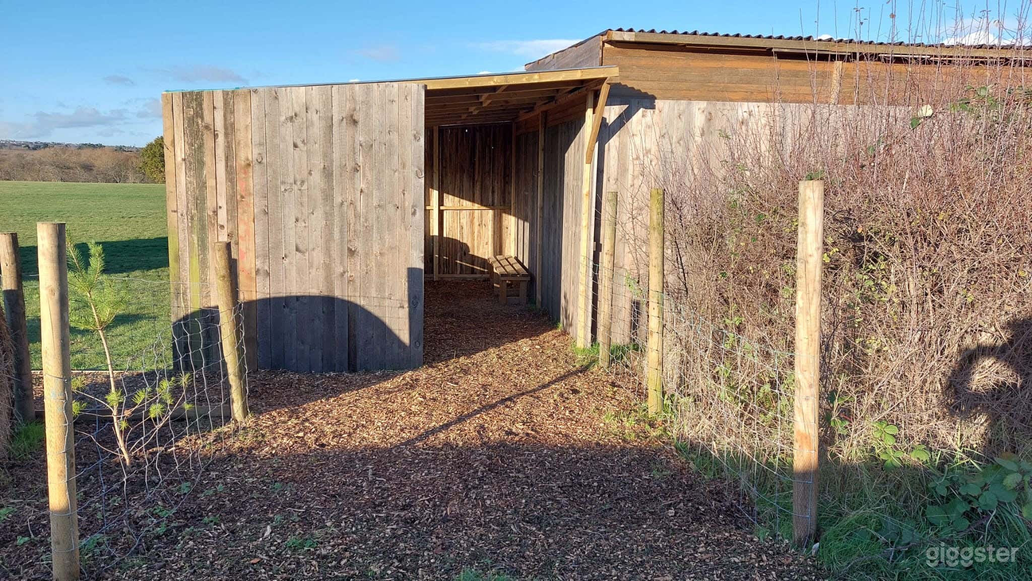 Air Rifle Range and Targets Photo 3