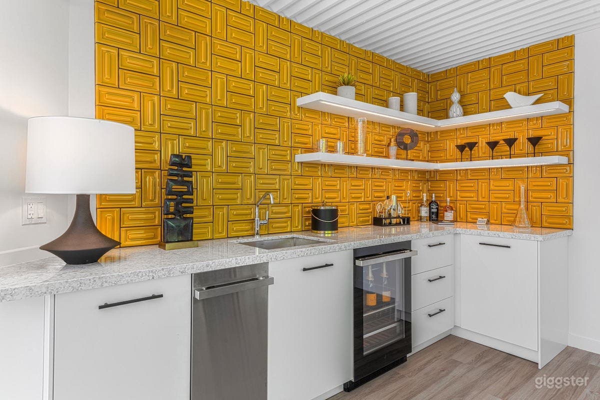 Mid-Century Modern Living Photo 3