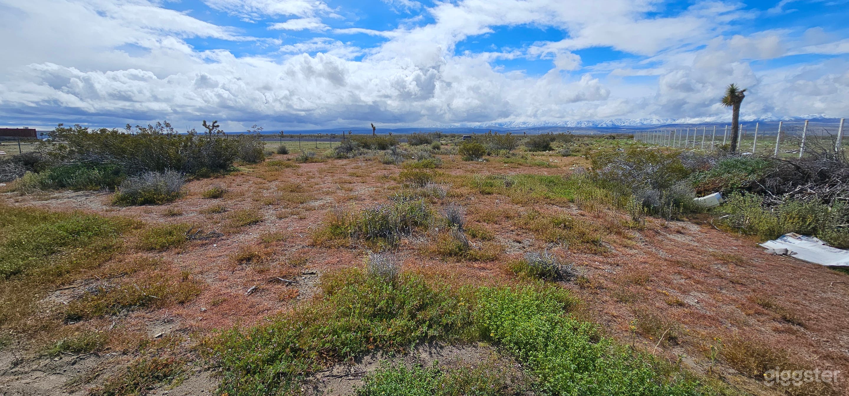 A Blank Canvas of Natural Beauty Photo 2