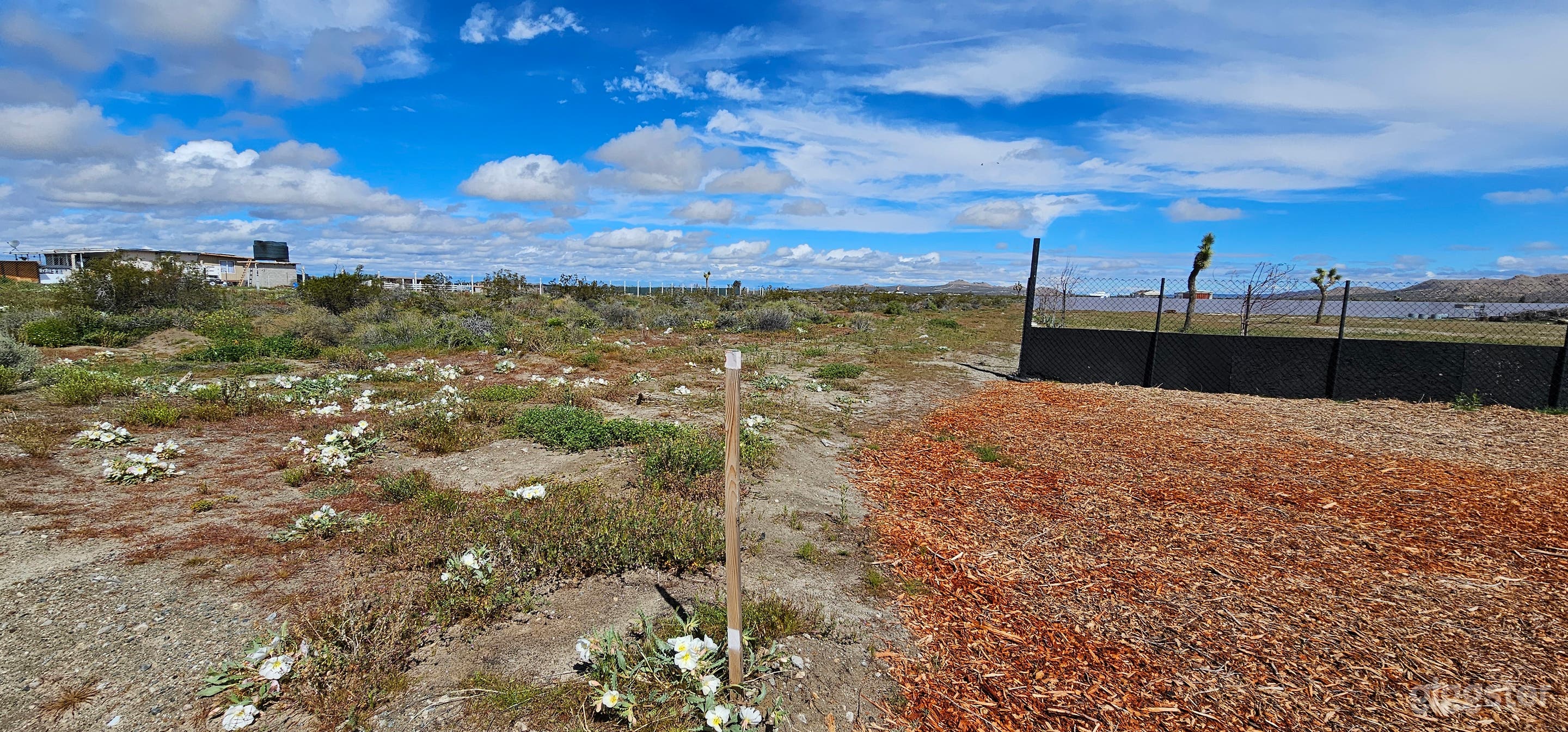 A Blank Canvas of Natural Beauty Photo 3