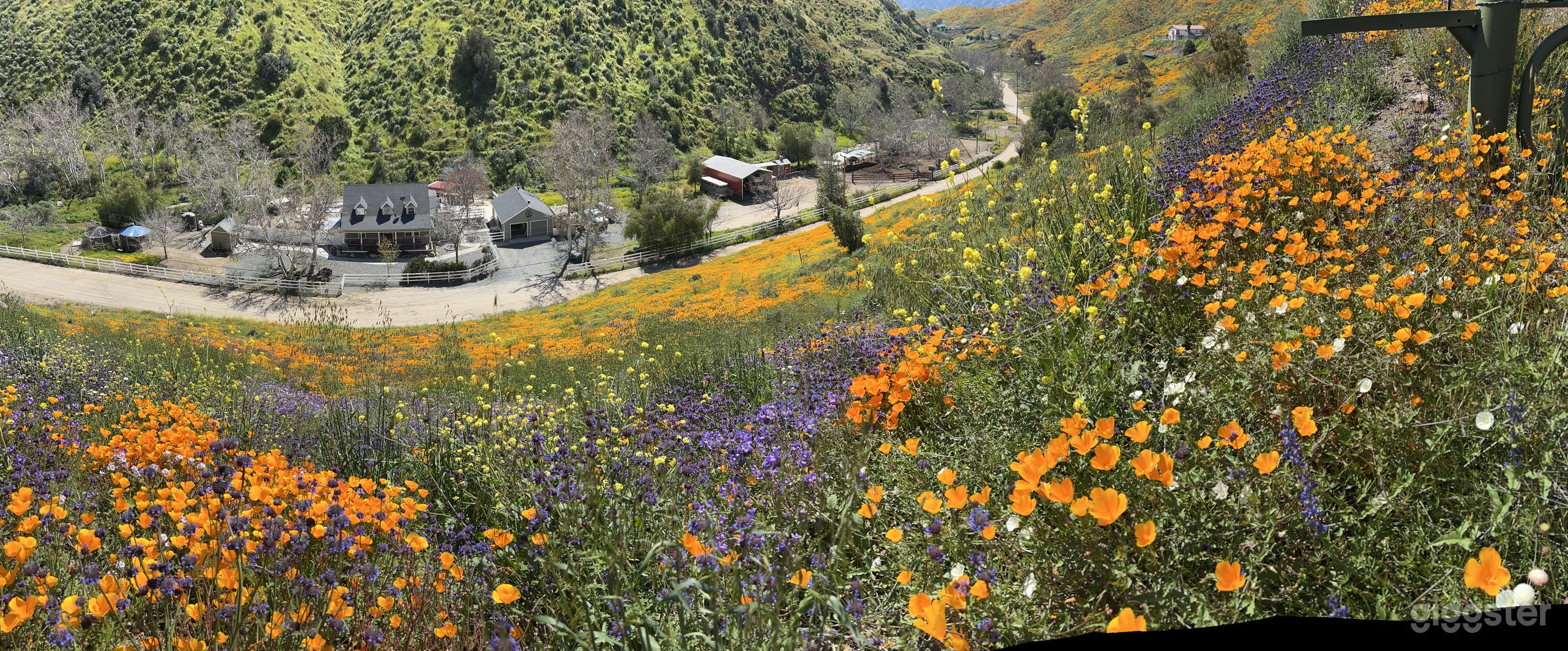 Ranch Property Photo 4