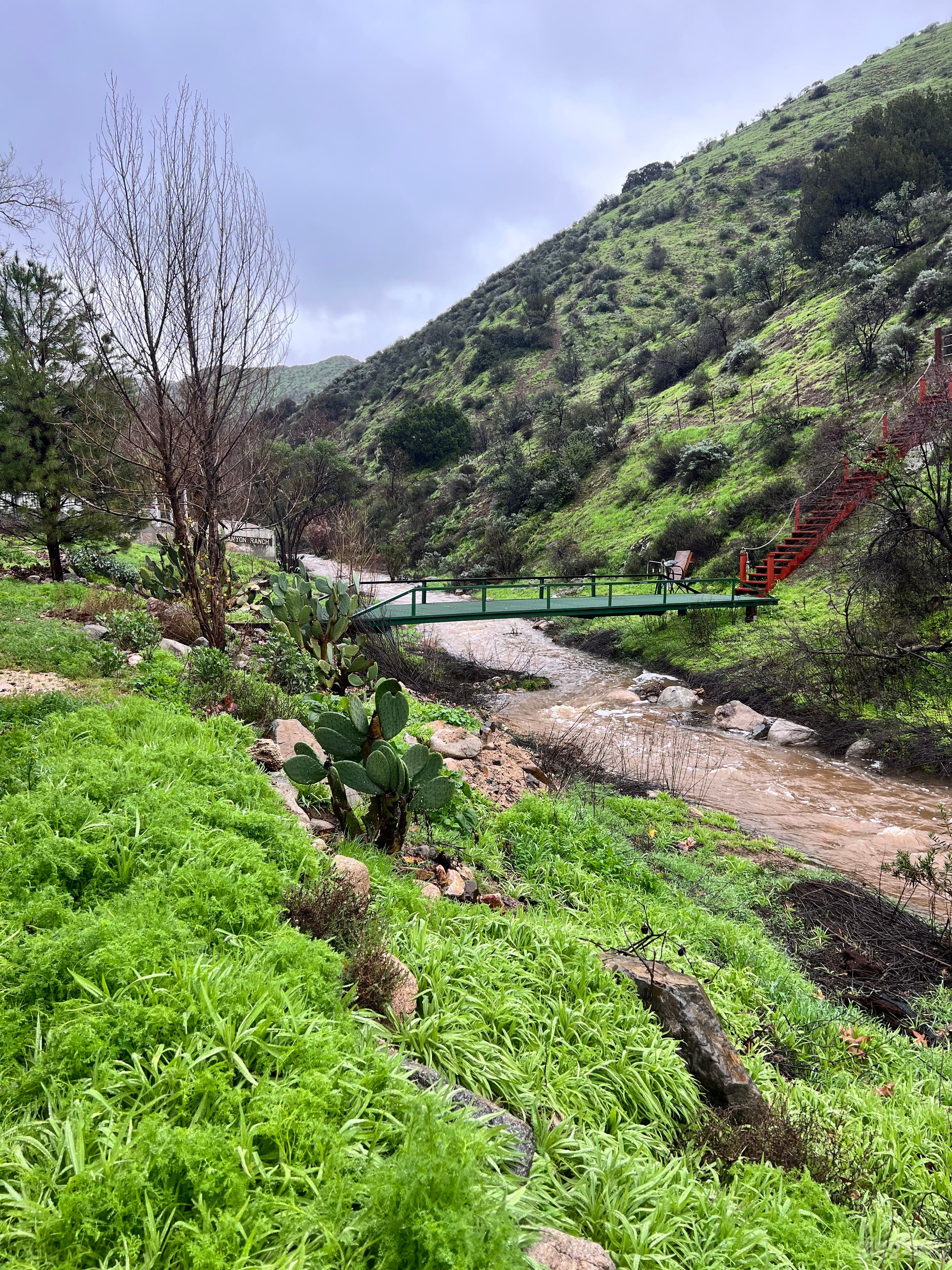 Ranch Property Photo 3