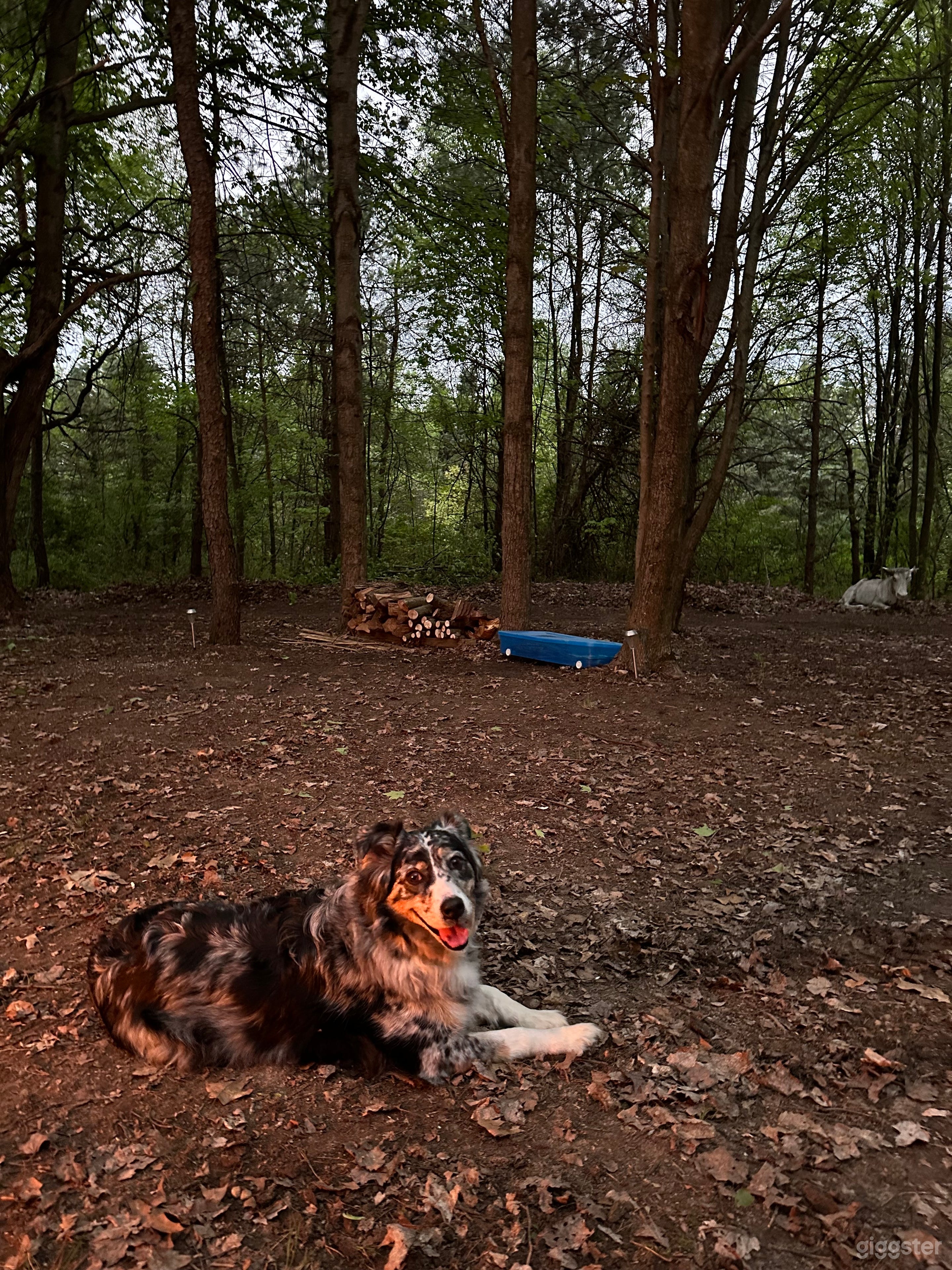 Sugar Shack Disc Golf and Campground Photo 4