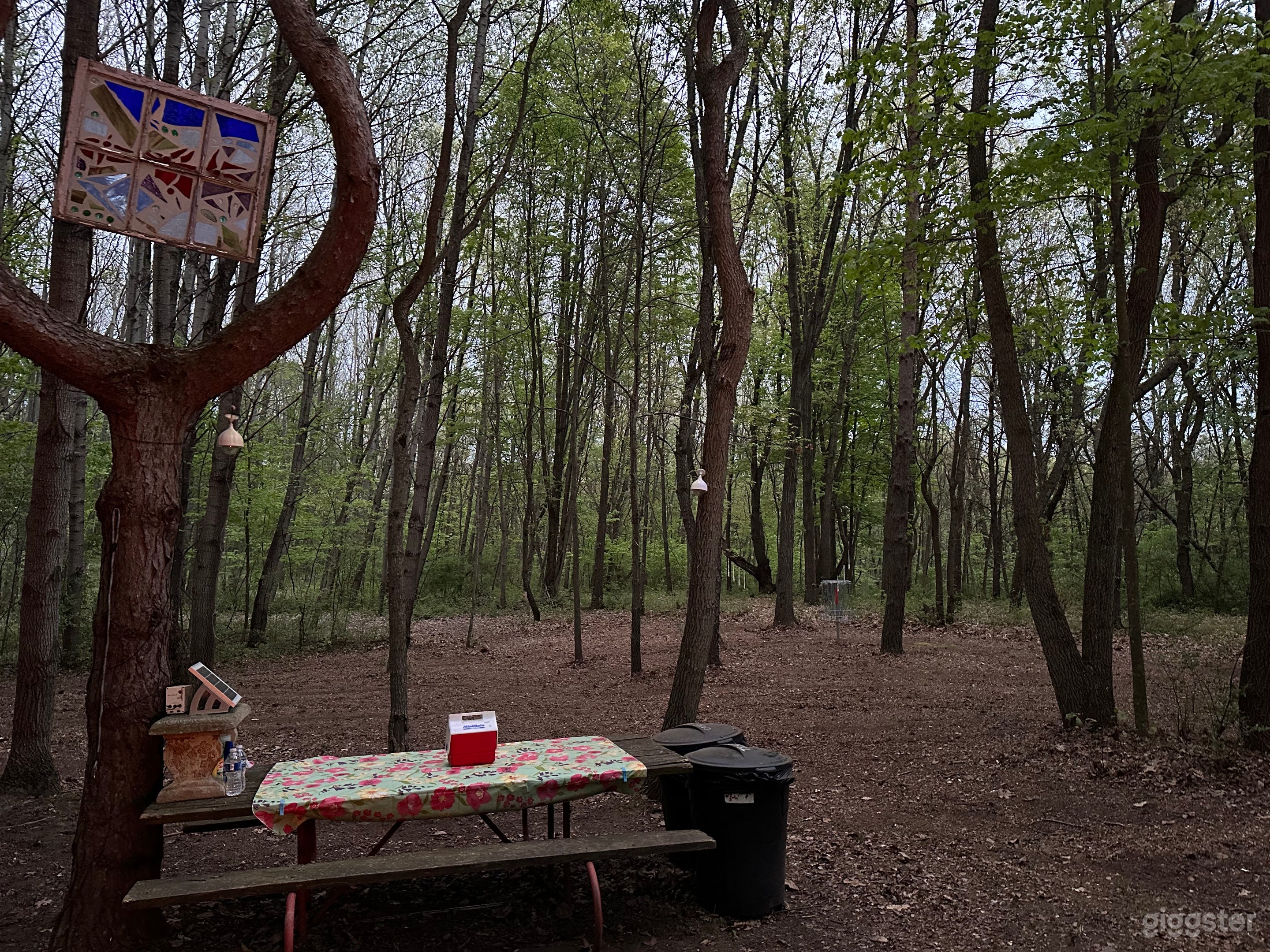 Sugar Shack Disc Golf and Campground Photo 3