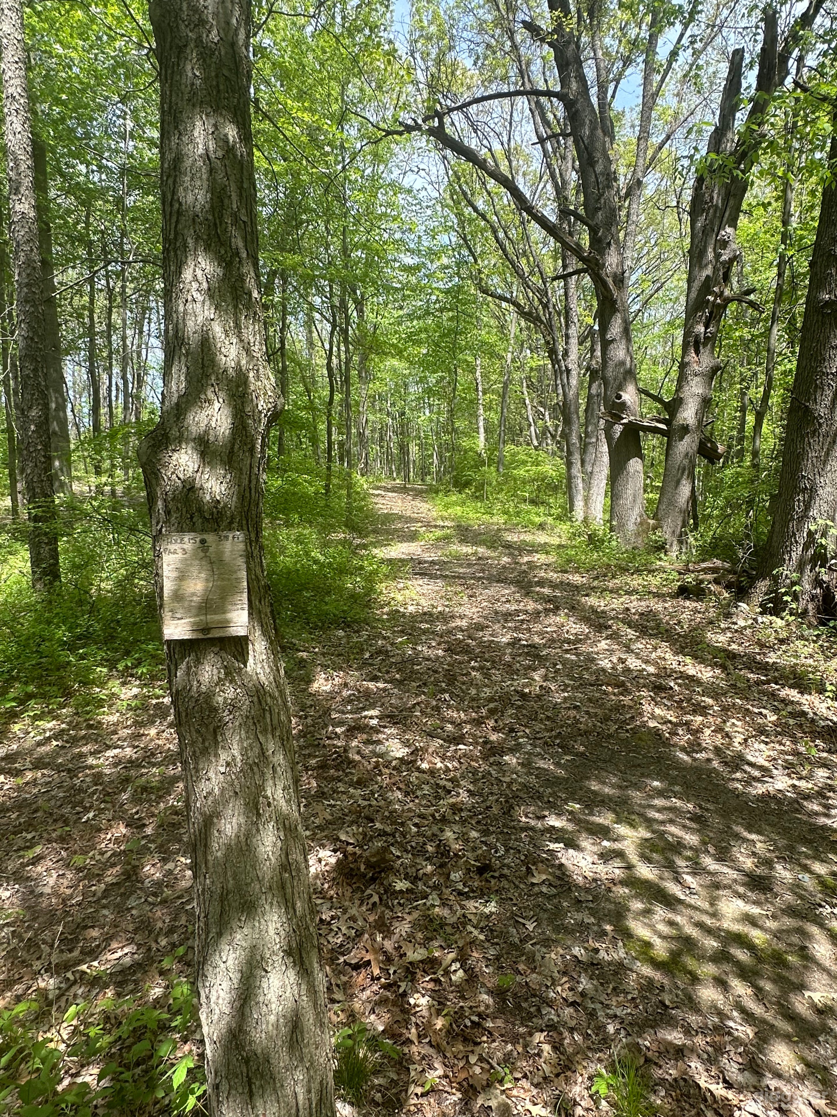 Sugar Shack Disc Golf and Campground Photo 1