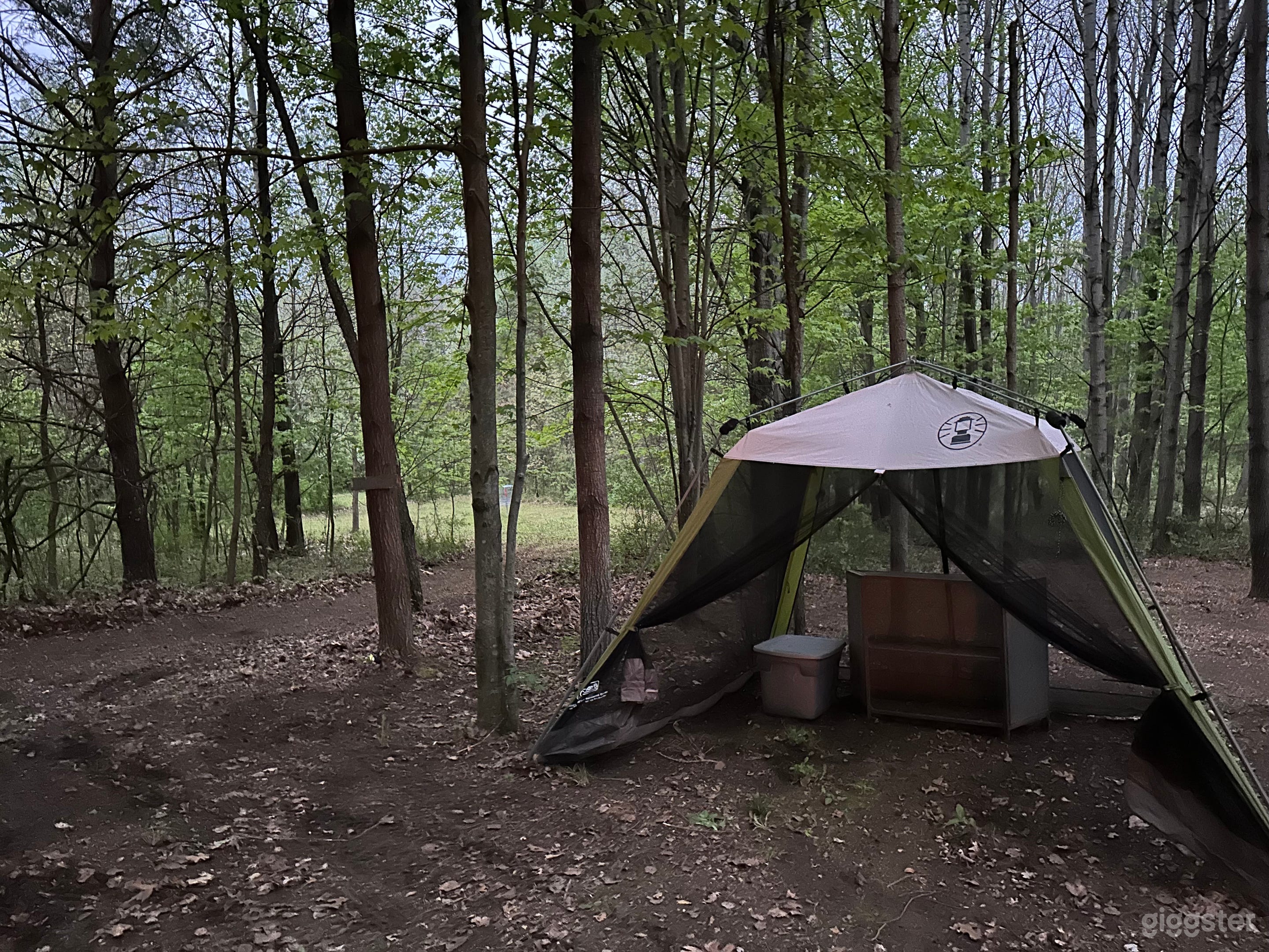 Sugar Shack Disc Golf and Campground Photo 2