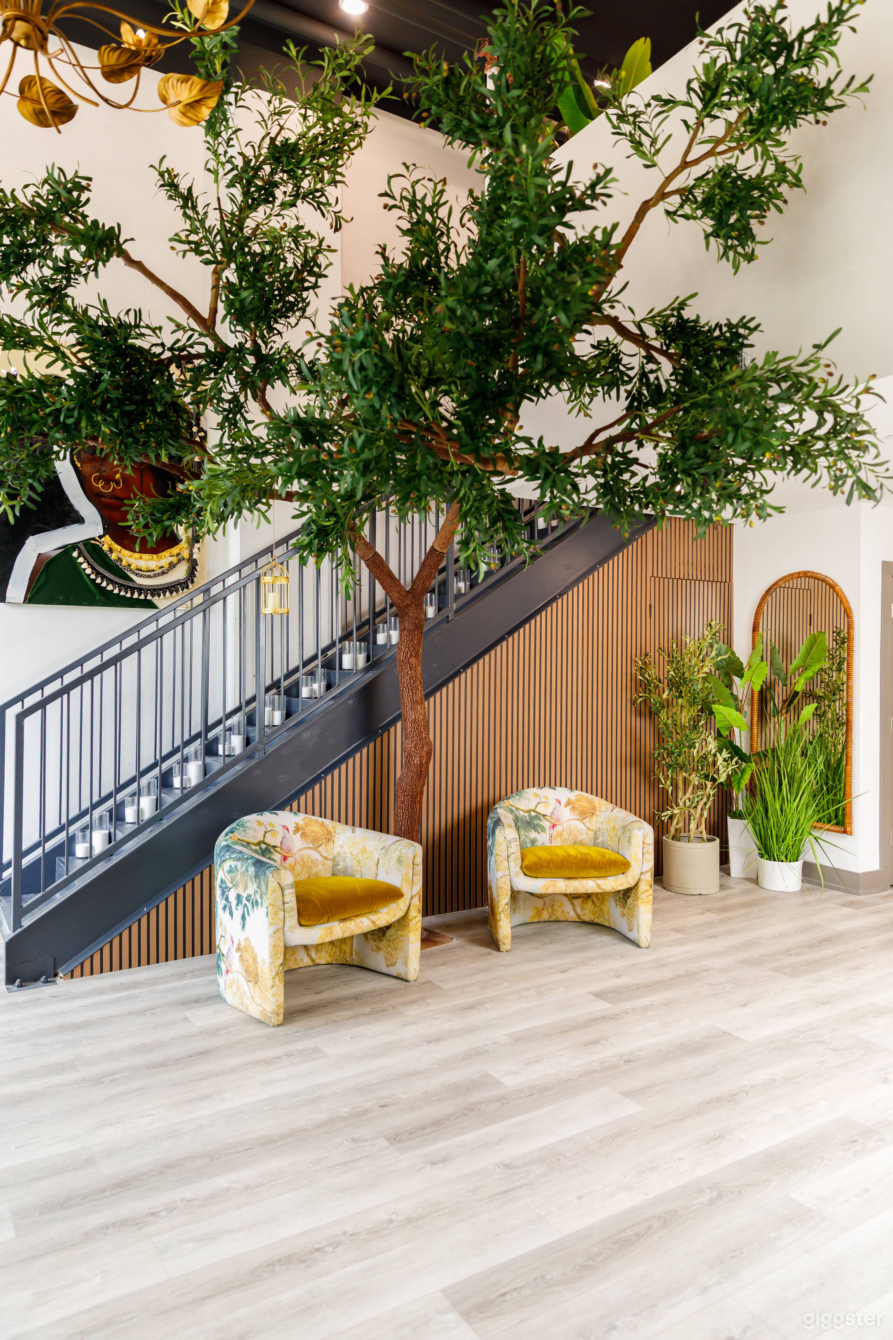 Lush, Light-Filled Creative Studio with Giant Olive Trees Photo 2