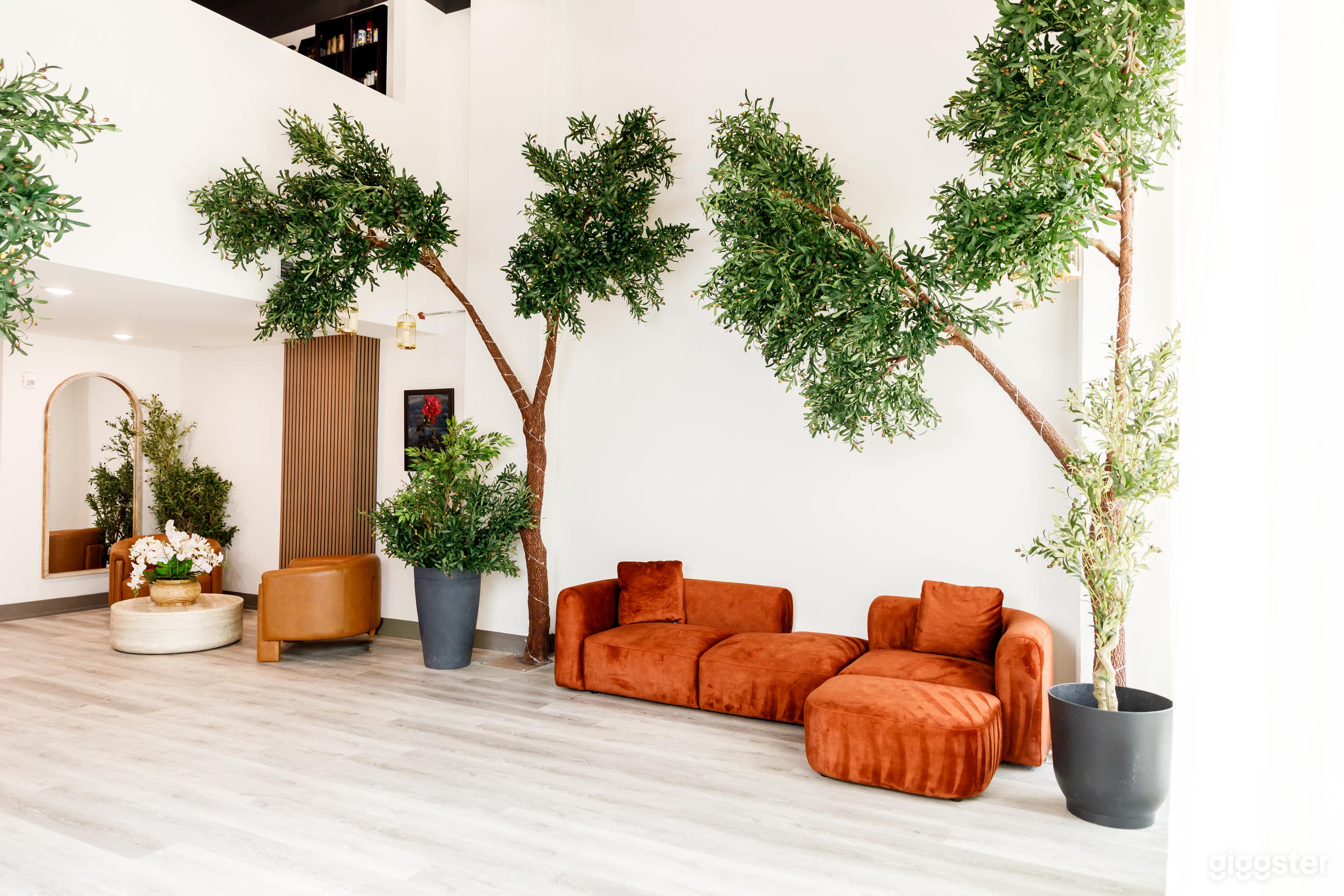 Lush, Light-Filled Creative Studio with Giant Olive Trees Photo 4