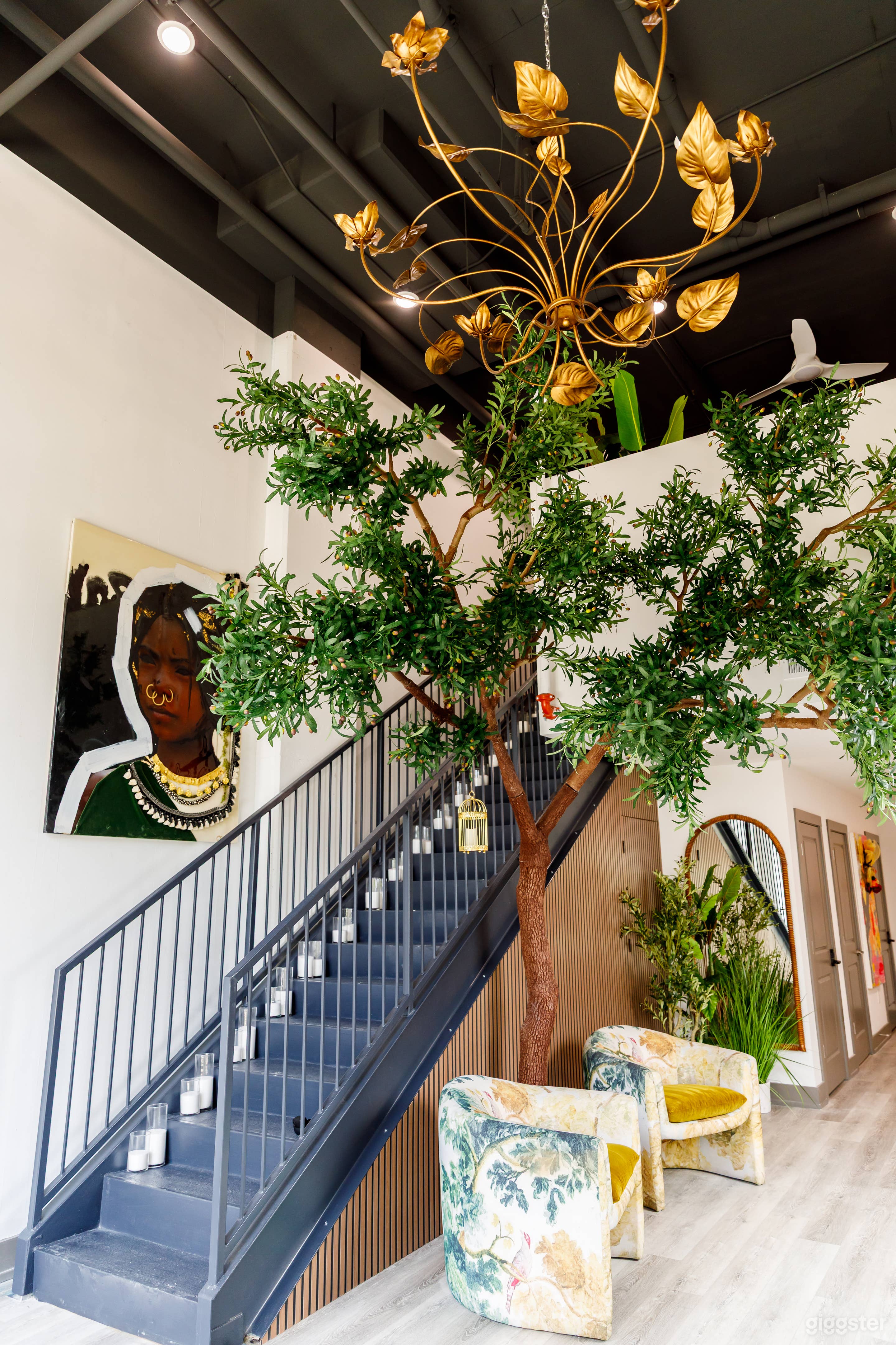 Lush, Light-Filled Creative Studio with Giant Olive Trees Photo 3