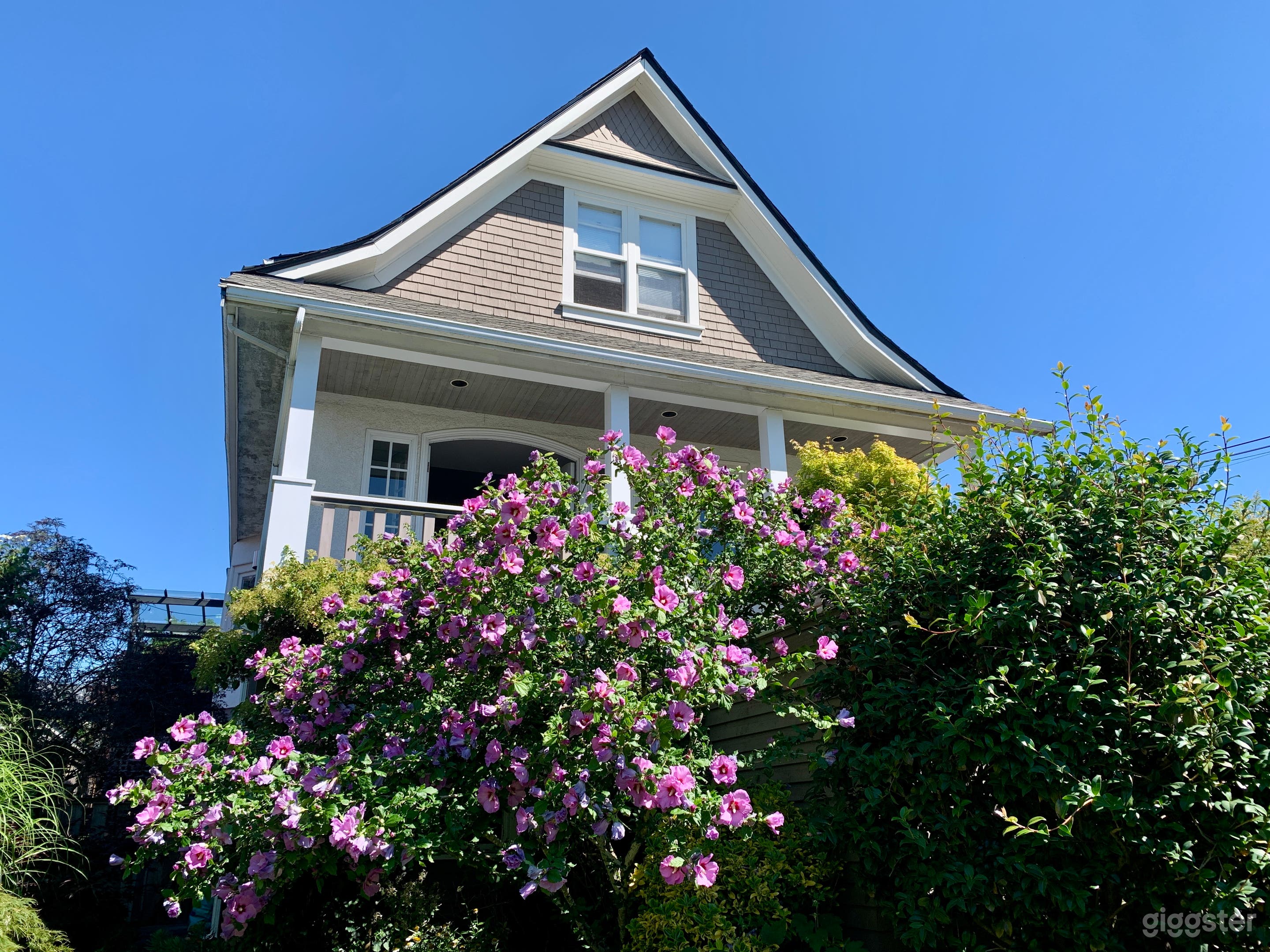 Front of house with hibiscus in summer bloom.