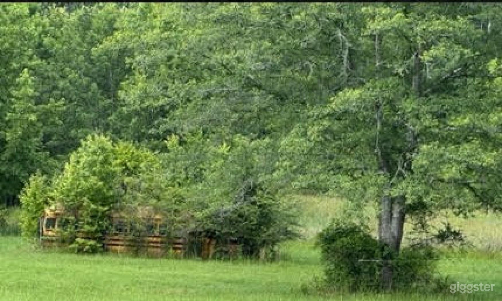 Vintage Charm, Historic Bus Photo 1