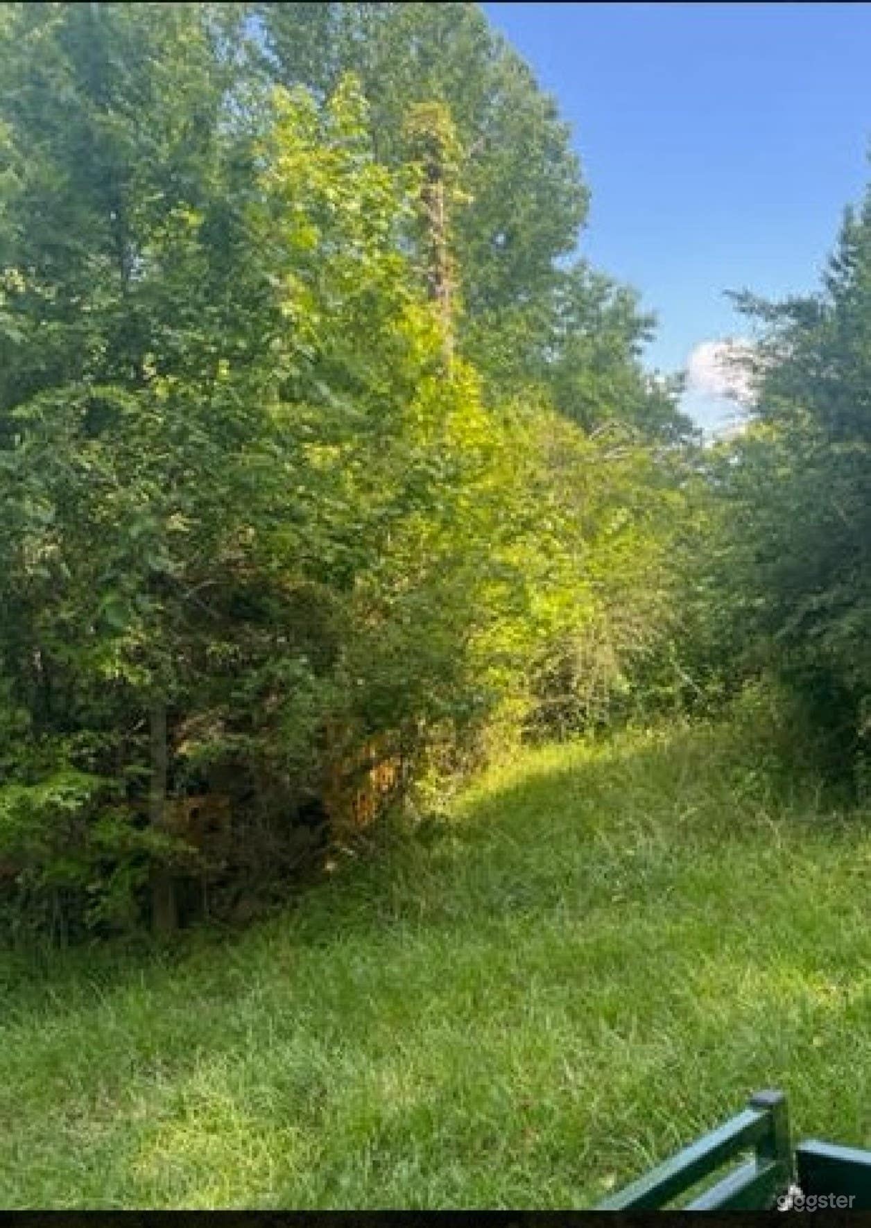 Vintage Charm, Historic Bus Photo 3